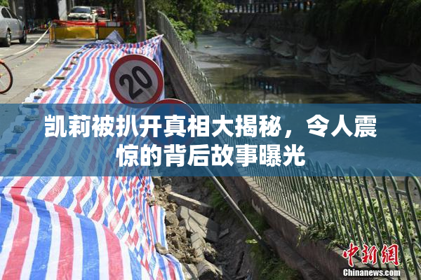 凯莉被扒开真相大揭秘，令人震惊的背后故事曝光