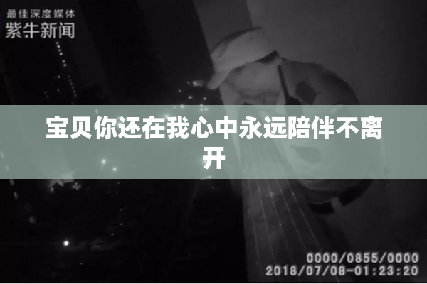 宝贝你还在我心中永远陪伴不离开