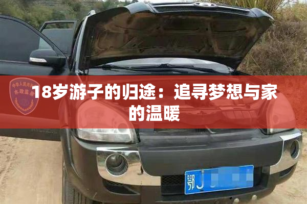 18岁游子的归途：追寻梦想与家的温暖