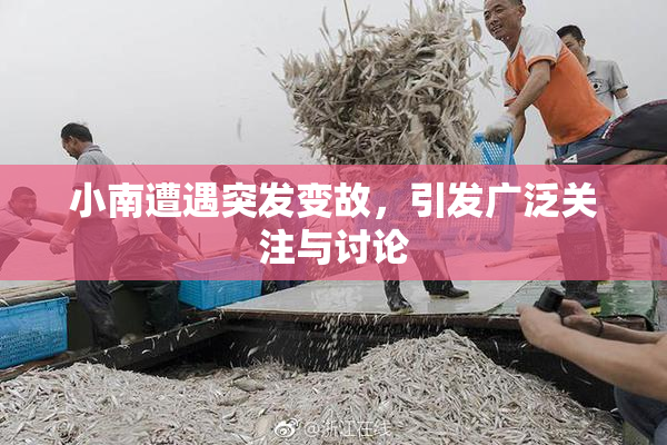 小南遭遇突发变故，引发广泛关注与讨论