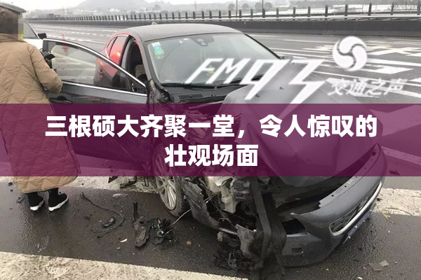三根硕大齐聚一堂，令人惊叹的壮观场面