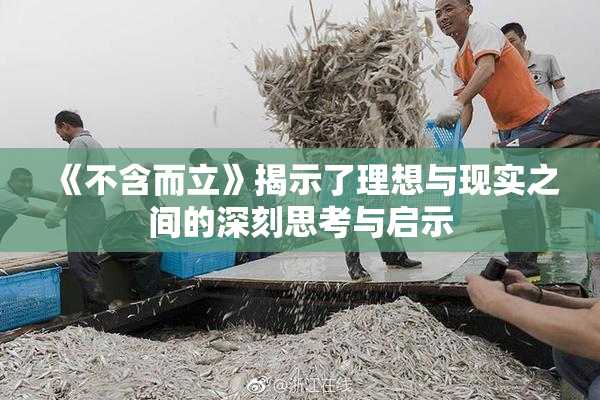 《不含而立》揭示了理想与现实之间的深刻思考与启示