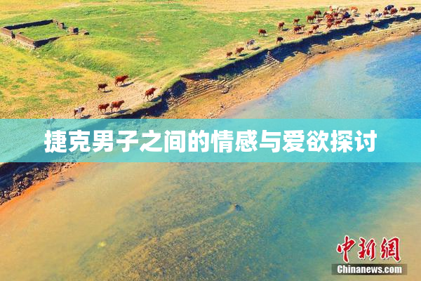 捷克男子之间的情感与爱欲探讨