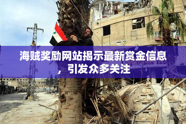 海贼奖励网站揭示最新赏金信息，引发众多关注