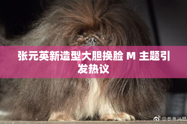 张元英新造型大胆换脸 M 主题引发热议