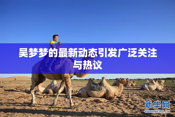 吴梦梦的最新动态引发广泛关注与热议