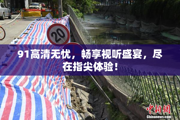 91高清无忧，畅享视听盛宴，尽在指尖体验！