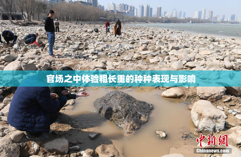 官场之中体验粗长重的种种表现与影响