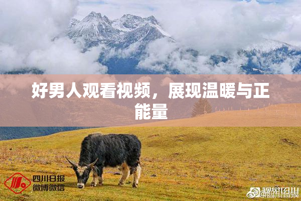 好男人观看视频，展现温暖与正能量