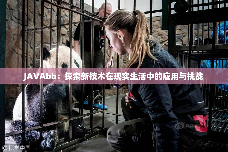 JAVAbb：探索新技术在现实生活中的应用与挑战