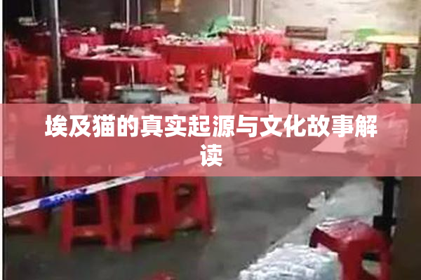 埃及猫的真实起源与文化故事解读
