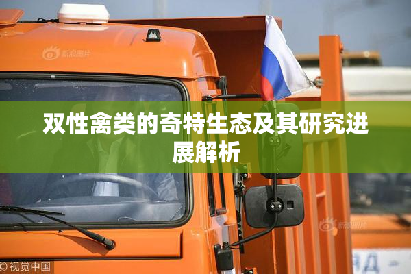 双性禽类的奇特生态及其研究进展解析