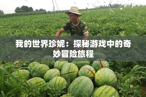 我的世界珍妮：探秘游戏中的奇妙冒险旅程