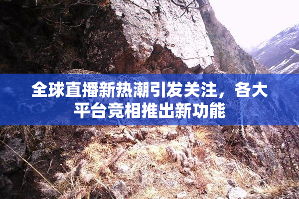 全球直播新热潮引发关注，各大平台竞相推出新功能