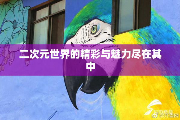 二次元世界的精彩与魅力尽在其中