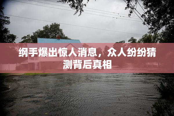 纲手爆出惊人消息，众人纷纷猜测背后真相
