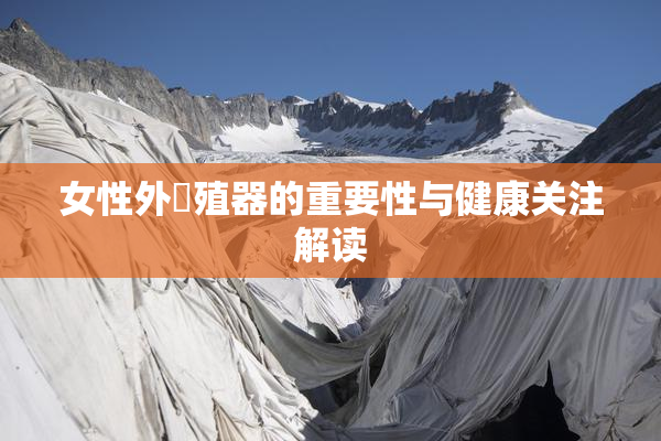 女性外夝殖器的重要性与健康关注解读