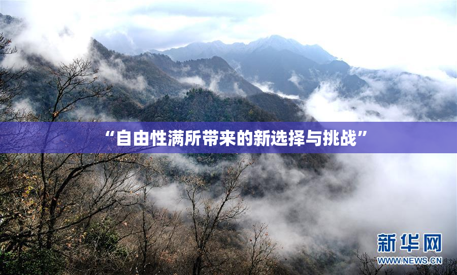 “自由性满所带来的新选择与挑战”
