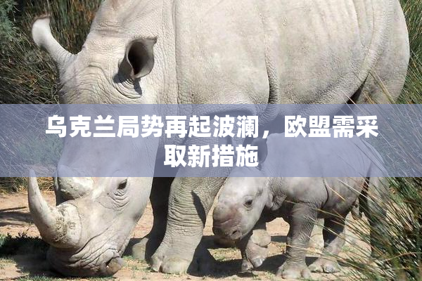 乌克兰局势再起波澜，欧盟需采取新措施