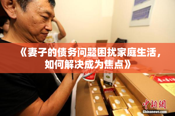 《妻子的债务问题困扰家庭生活，如何解决成为焦点》