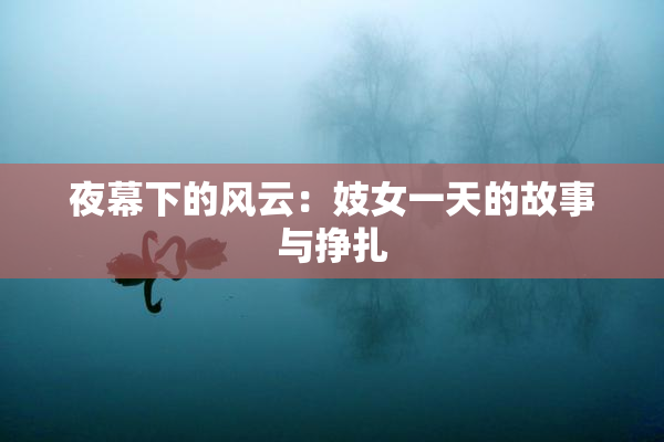 夜幕下的风云：妓女一天的故事与挣扎