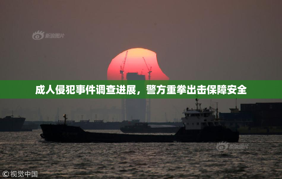成人侵犯事件调查进展，警方重拳出击保障安全