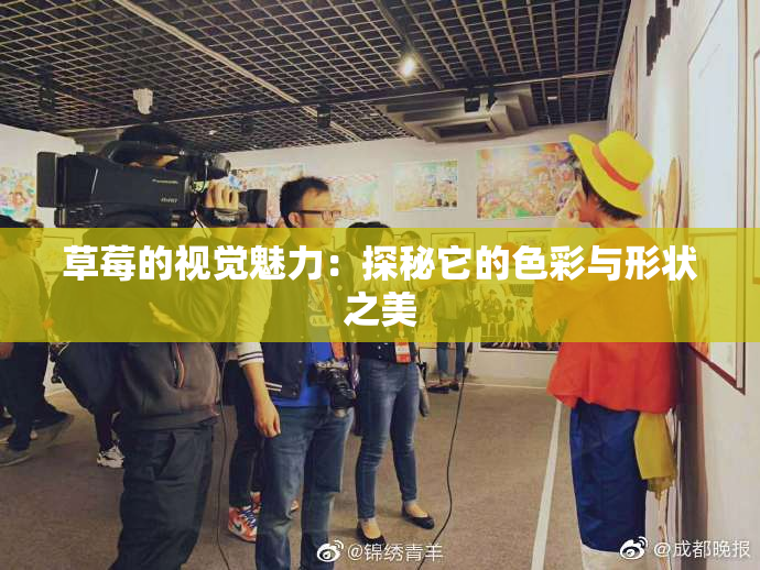 草莓的视觉魅力：探秘它的色彩与形状之美