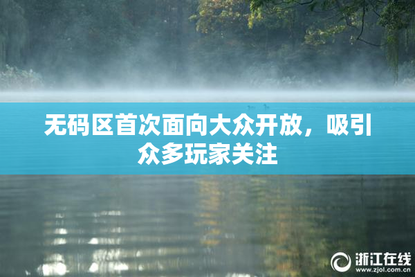 无码区首次面向大众开放，吸引众多玩家关注