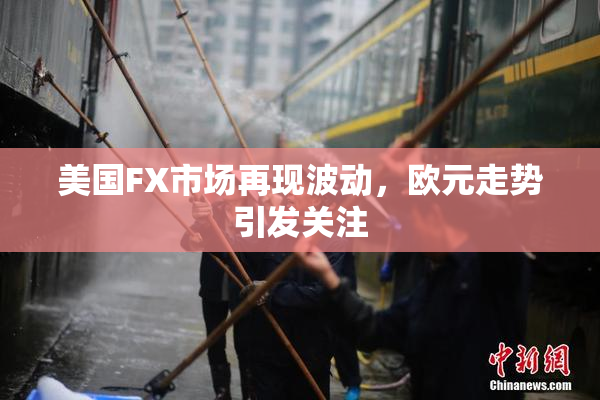 美国FX市场再现波动，欧元走势引发关注