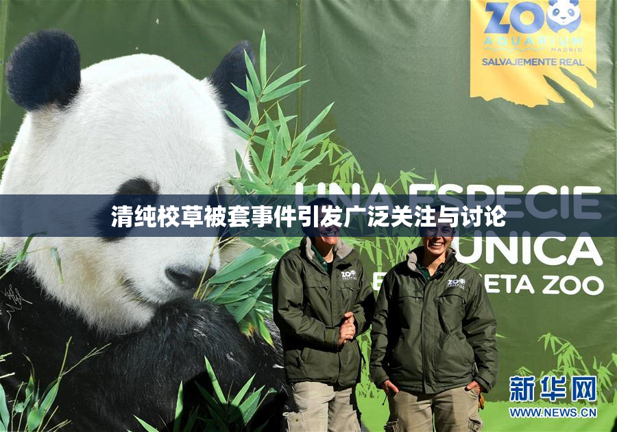 清纯校草被套事件引发广泛关注与讨论
