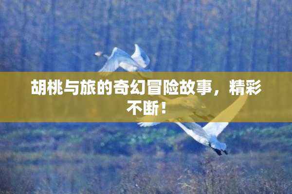 胡桃与旅的奇幻冒险故事，精彩不断！