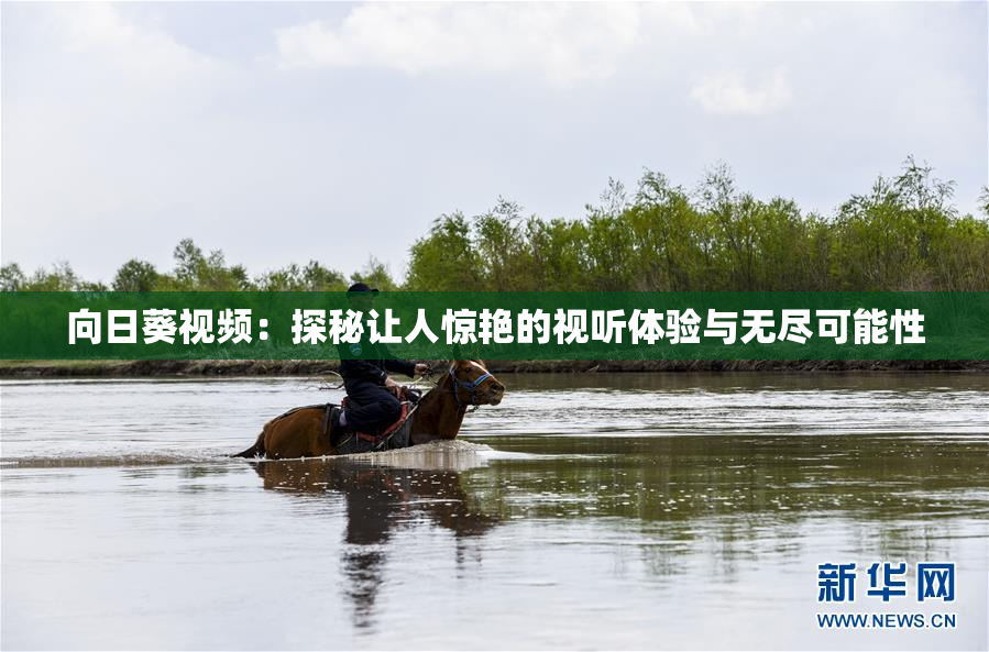 向日葵视频：探秘让人惊艳的视听体验与无尽可能性