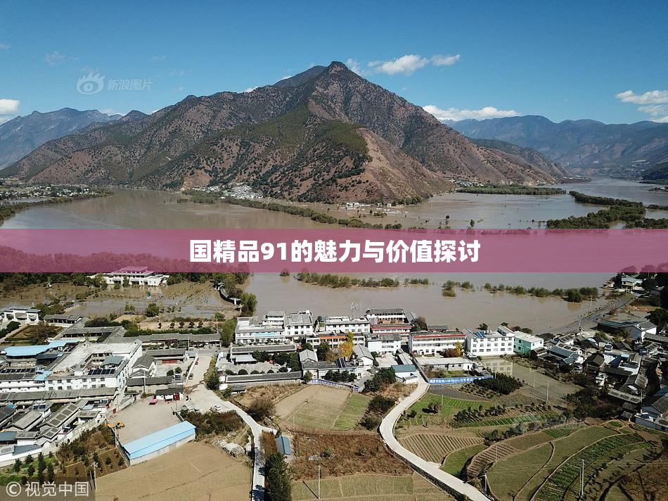 国精品91的魅力与价值探讨