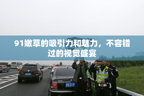 91嫩草的吸引力和魅力，不容错过的视觉盛宴