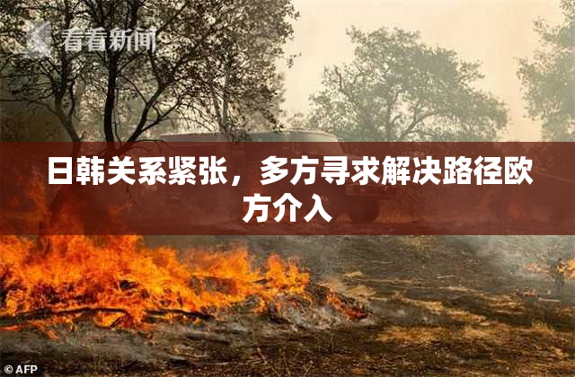 日韩关系紧张，多方寻求解决路径欧方介入