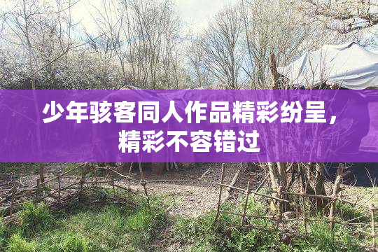 少年骇客同人作品精彩纷呈，精彩不容错过