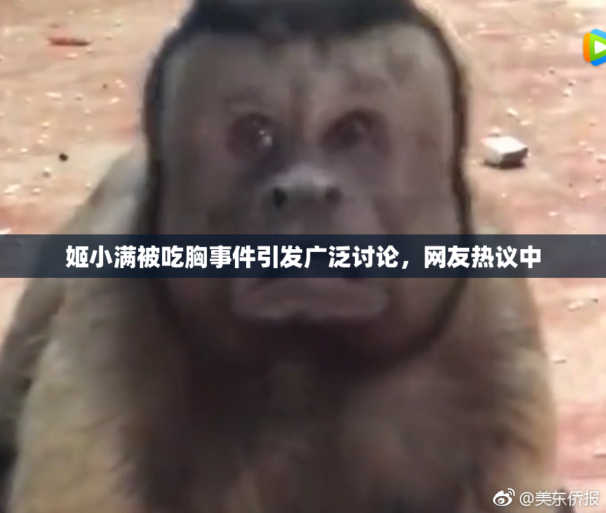姬小满被吃胸事件引发广泛讨论，网友热议中