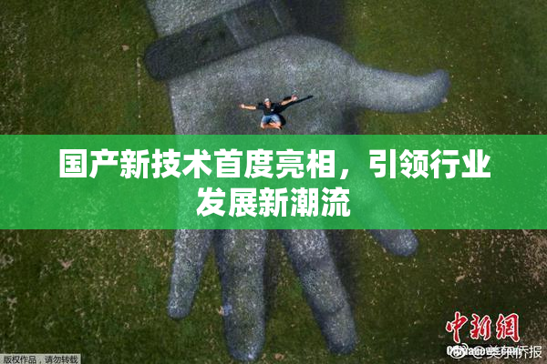国产新技术首度亮相，引领行业发展新潮流