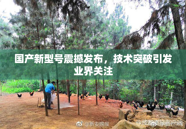 国产新型号震撼发布，技术突破引发业界关注