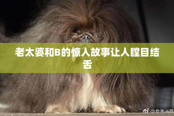 老太婆和B的惊人故事让人瞠目结舌