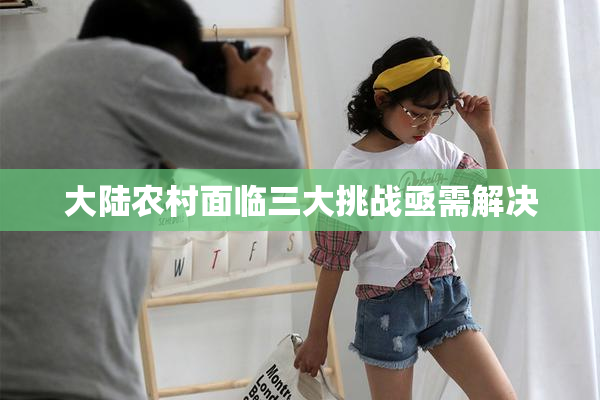 大陆农村面临三大挑战亟需解决