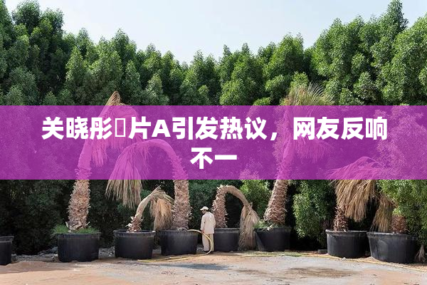 关晓彤婬片A引发热议，网友反响不一