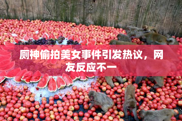 厕神偷拍美女事件引发热议，网友反应不一