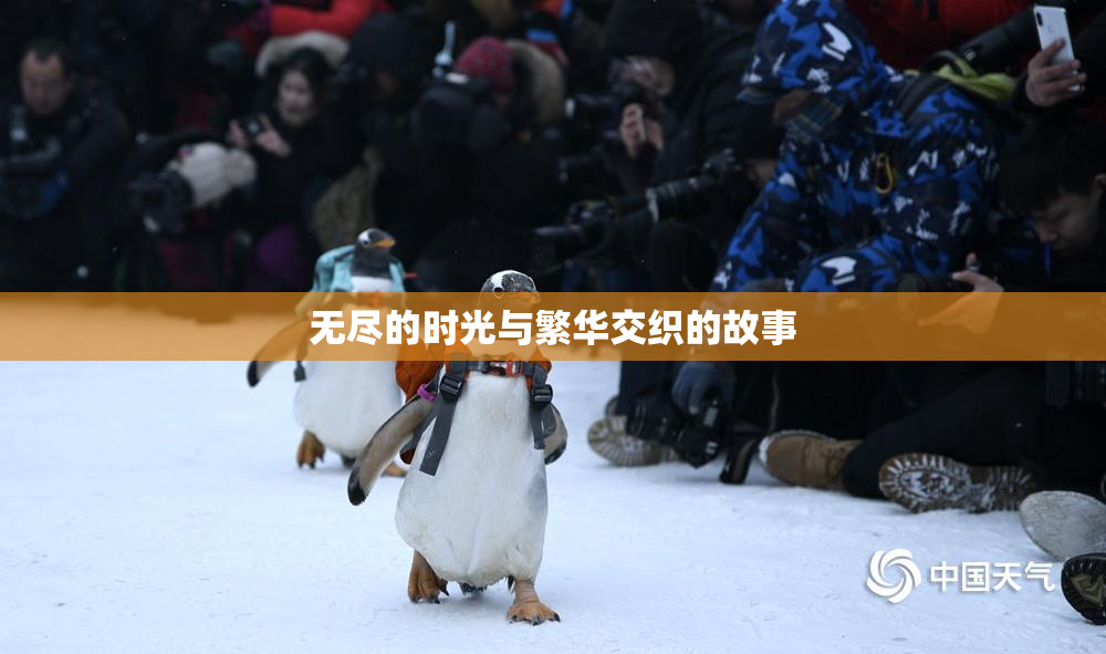 无尽的时光与繁华交织的故事