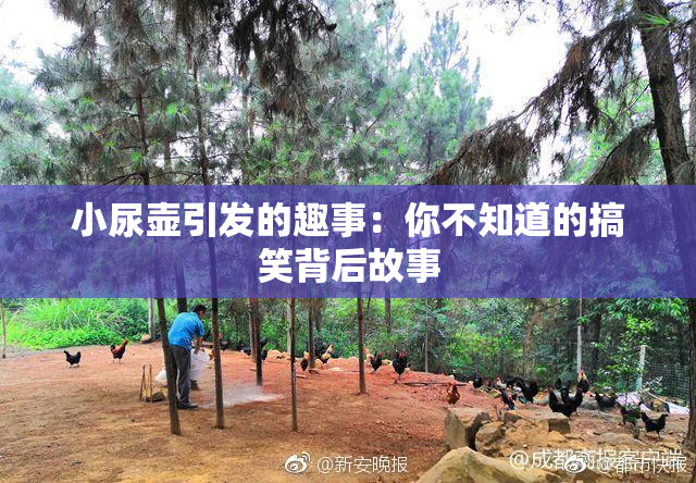 小尿壶引发的趣事：你不知道的搞笑背后故事