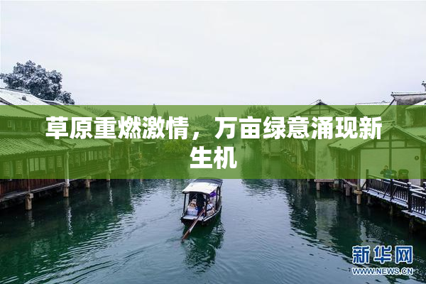 草原重燃激情，万亩绿意涌现新生机
