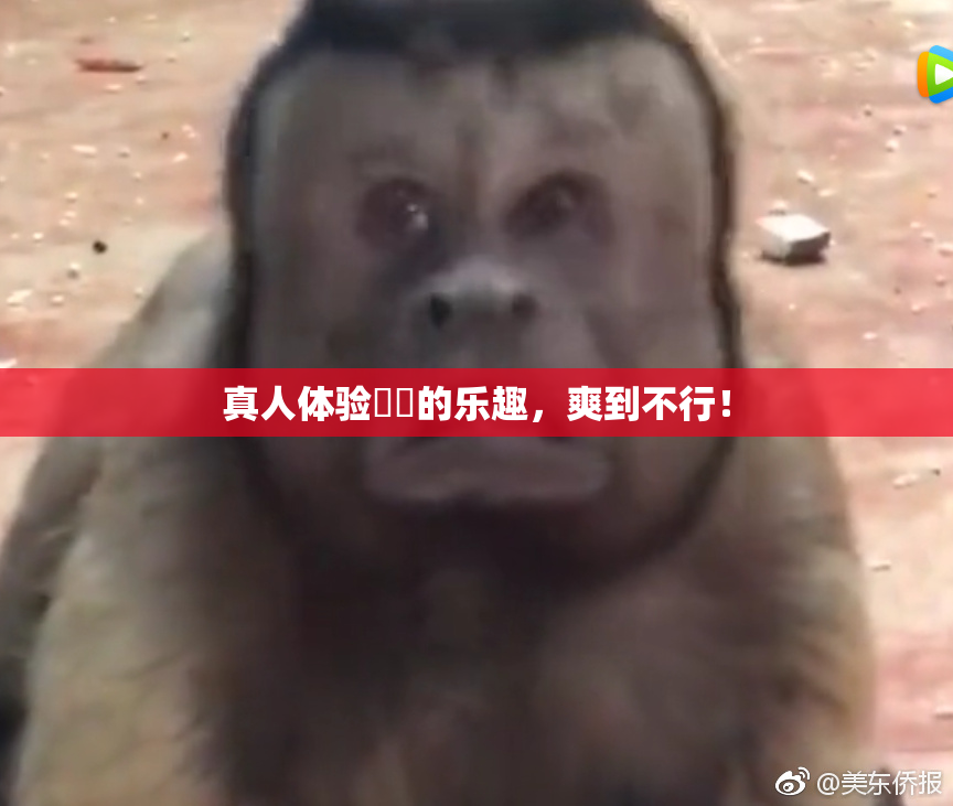 真人体验❌‌的乐趣，爽到不行！