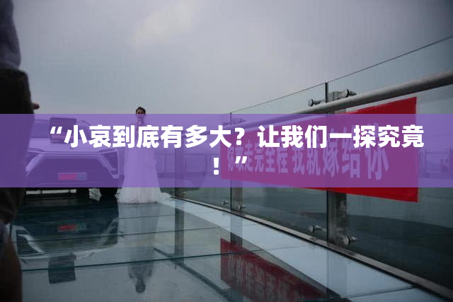 “小哀到底有多大？让我们一探究竟！”