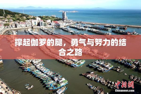 撑起伽罗的腿，勇气与努力的结合之路