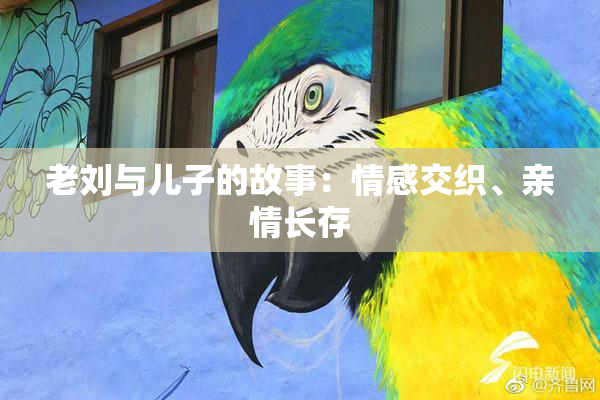 老刘与儿子的故事：情感交织、亲情长存